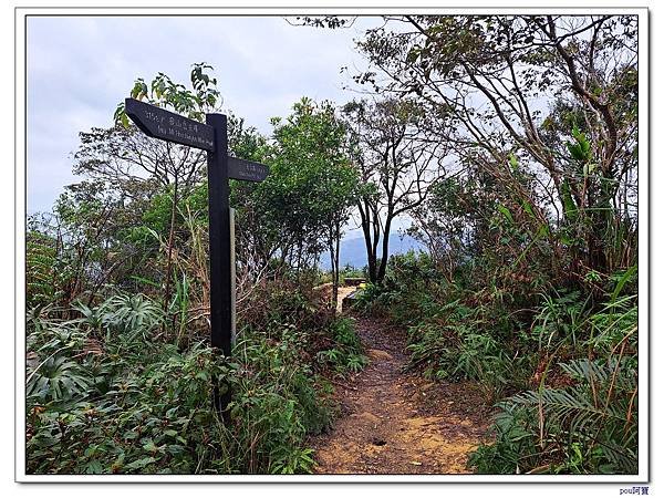 深坑 阿柔洋山 猴山岳 猴山岳前峰