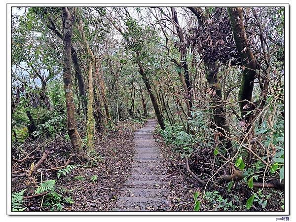 深坑 阿柔洋山 猴山岳 猴山岳前峰