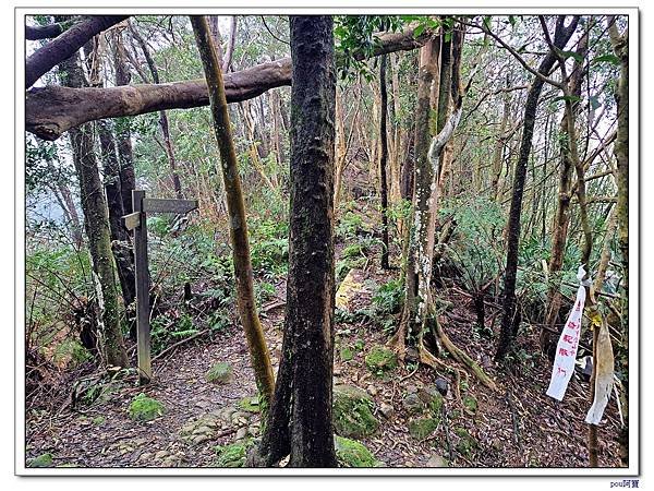 深坑 阿柔洋山 猴山岳 猴山岳前峰