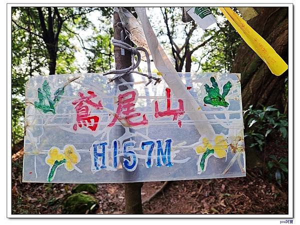 三峽 鳶尾山 鳶山東峰 福德坑山