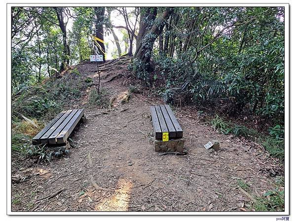 三峽 鳶尾山 鳶山東峰 福德坑山