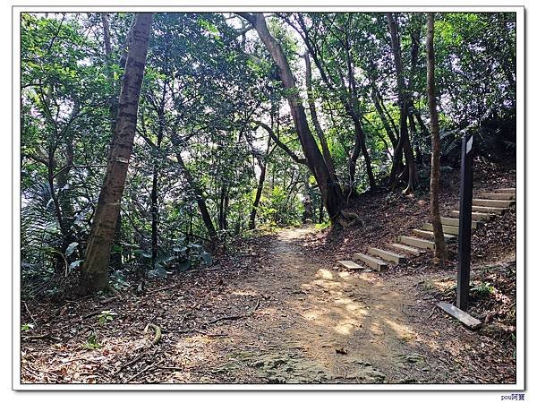 三峽 鳶尾山 鳶山東峰 福德坑山