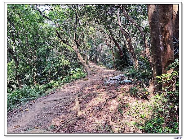 三峽 鳶尾山 鳶山東峰 福德坑山