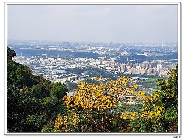 三峽 鳶尾山 鳶山東峰 福德坑山