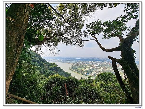 三峽 鳶尾山 鳶山東峰 福德坑山