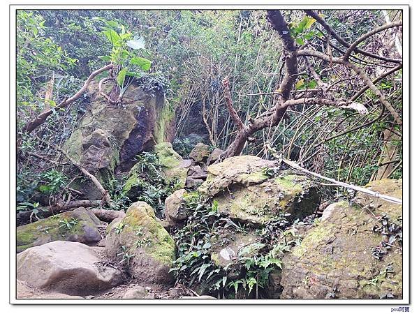 三峽 鳶尾山 鳶山東峰 福德坑山