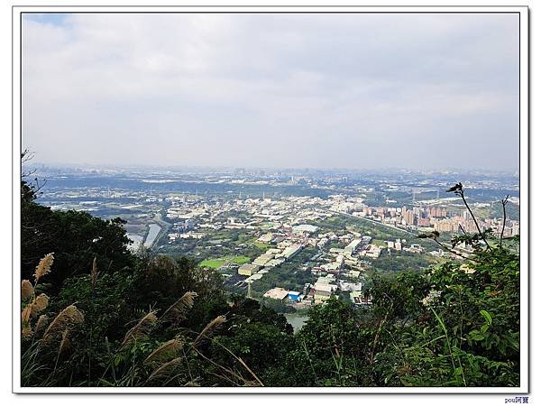 三峽 鳶尾山 鳶山東峰 福德坑山