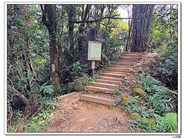 三峽 鳶尾山 鳶山東峰 福德坑山