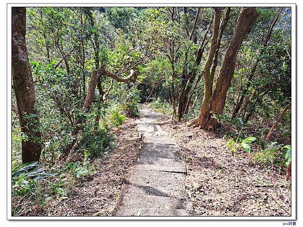 土城 南天母山 天上山