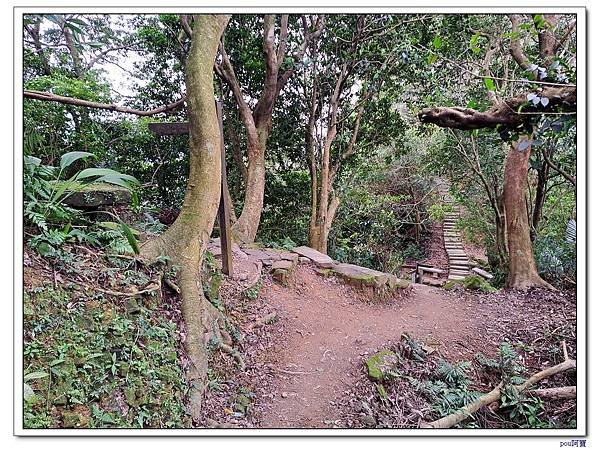 土城 南天母山 天上山