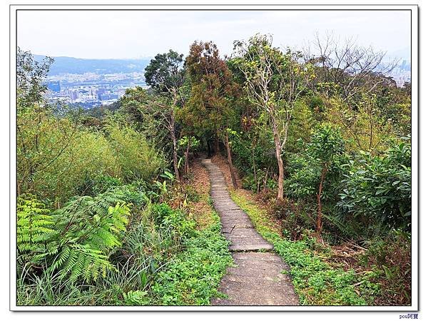 土城 南天母山 天上山