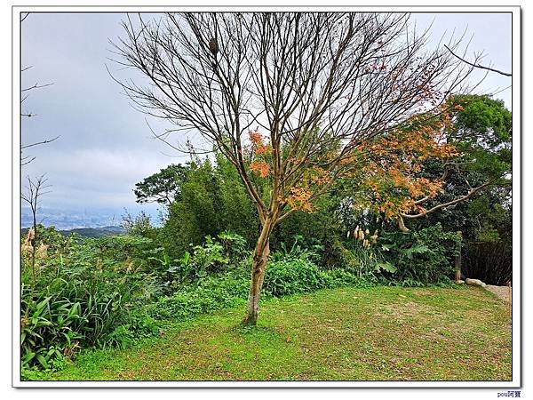 龜山 新朝嶺山 東嶺頂山 馬頭尖 大棟山 大湖頂山