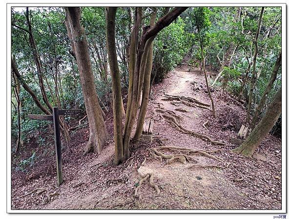 土城 大暖尖山