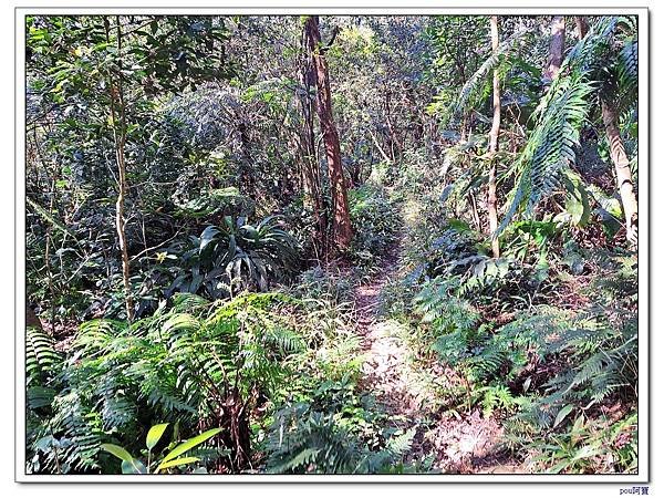 深坑 山豬淚湖 山豬窟尖 土庫岳東峰 土庫岳