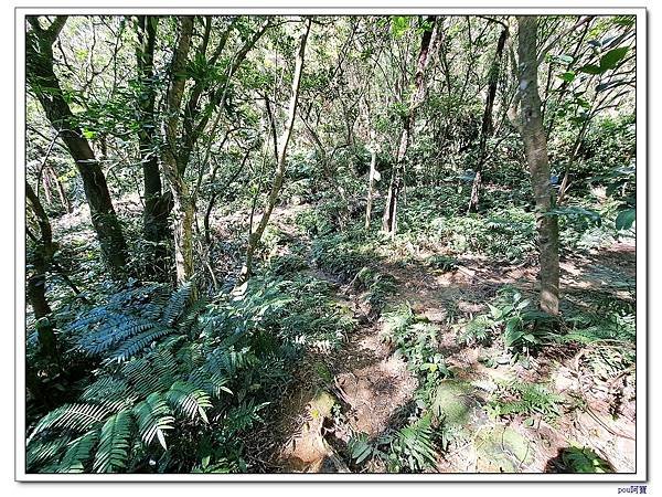 深坑 山豬淚湖 山豬窟尖 土庫岳東峰 土庫岳