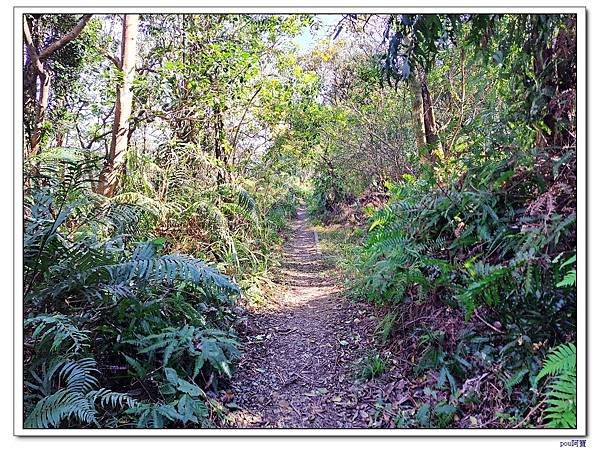 深坑 山豬淚湖 山豬窟尖 土庫岳東峰 土庫岳