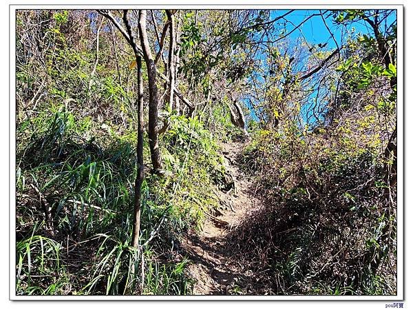 深坑 山豬淚湖 山豬窟尖 土庫岳東峰 土庫岳