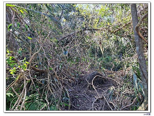 深坑 山豬淚湖 山豬窟尖 土庫岳東峰 土庫岳