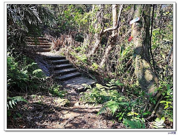 深坑 山豬淚湖 山豬窟尖 土庫岳東峰 土庫岳