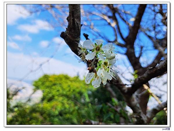 三峽 福德坑山 鳶山彩壁 五十分山