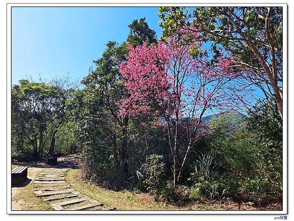 新店 和美山 灣潭山