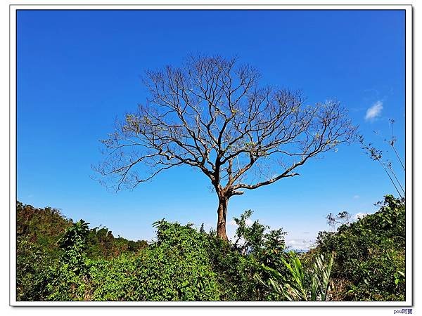新店 和美山 灣潭山