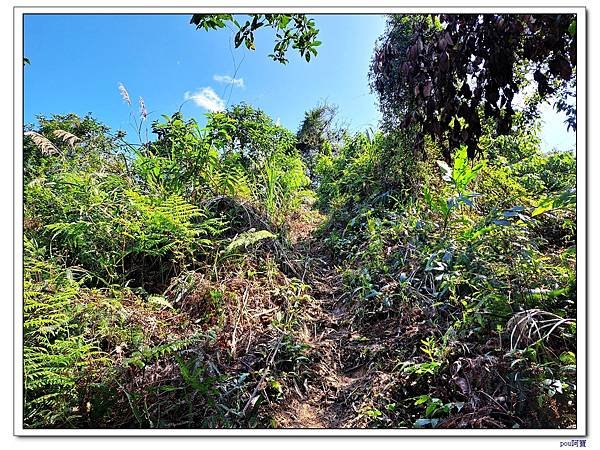 新店 和美山 灣潭山
