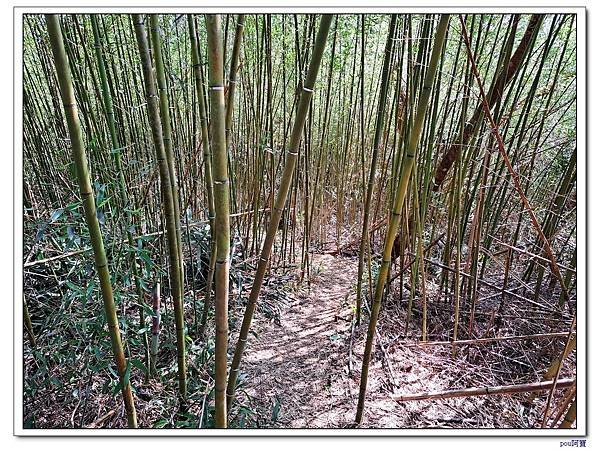 新店 和美山 灣潭山