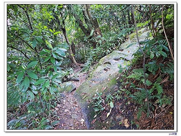中和 光明頂 南勢角山