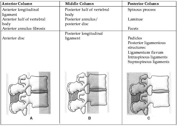 Three column model