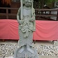 IMG_3293