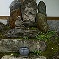 IMG_3295
