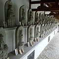 IMG_3307