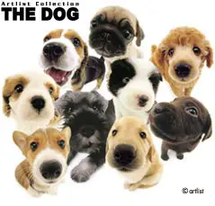 The-Dog3.jpg