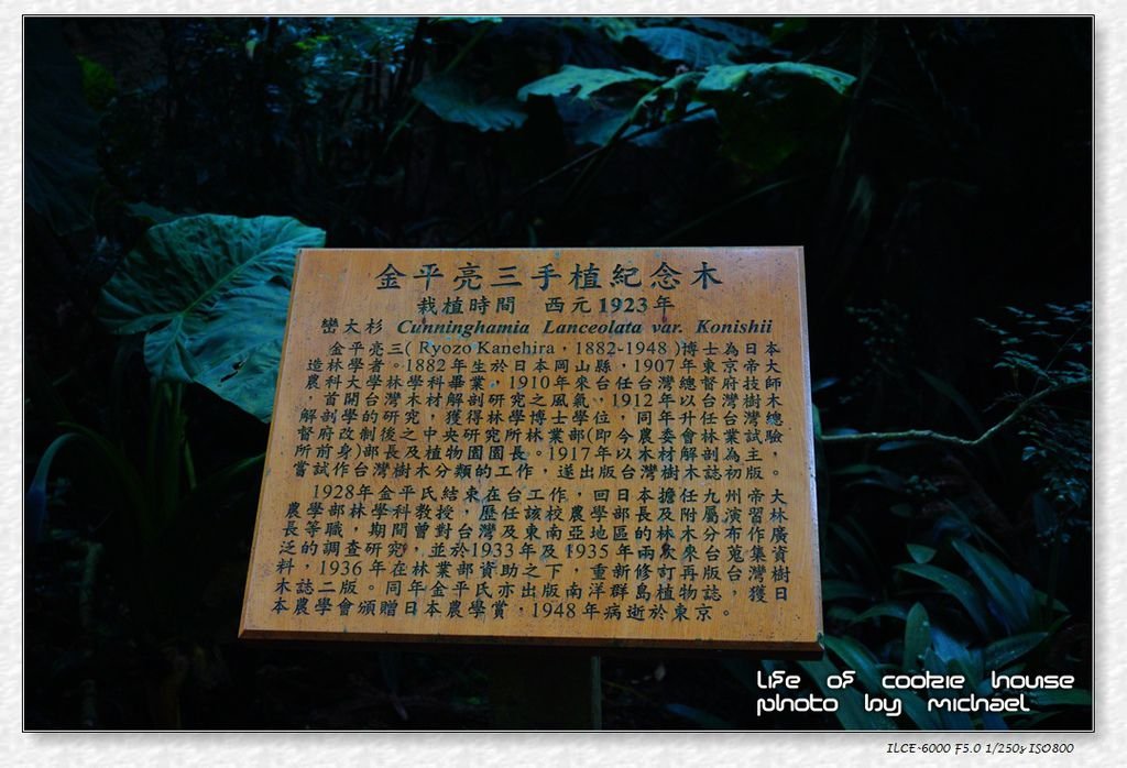 DSC00293.jpg