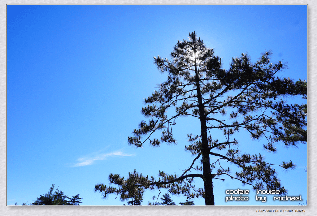 DSC01054.png