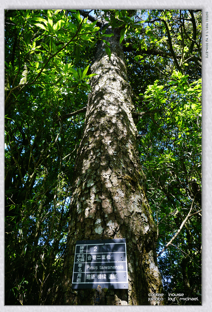 DSC01070.png
