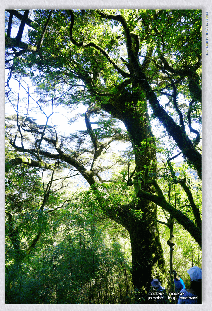 DSC01078.png