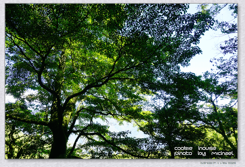 DSC01080.png