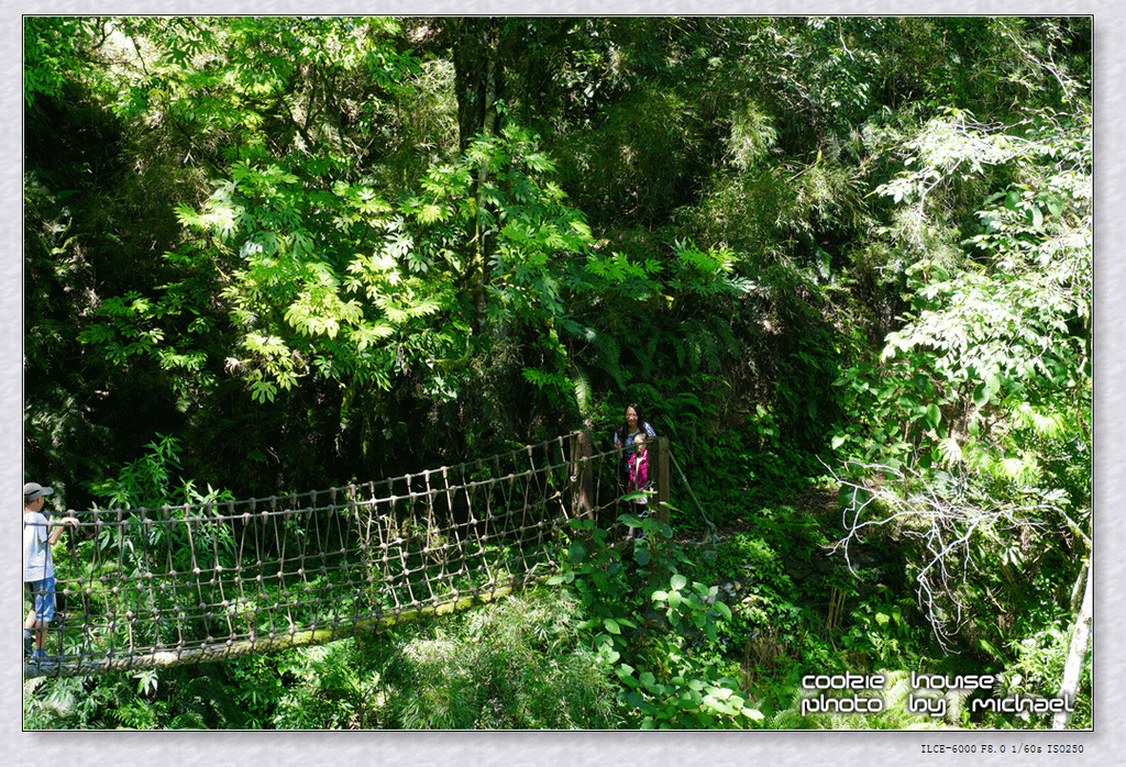 DSC01101.png