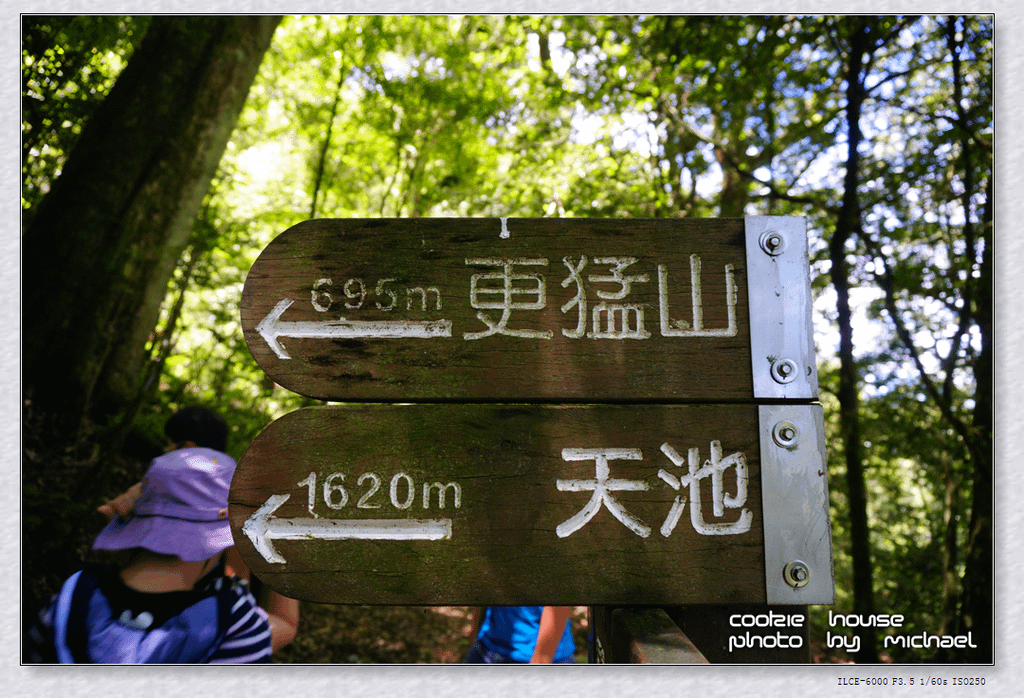 DSC01158.png