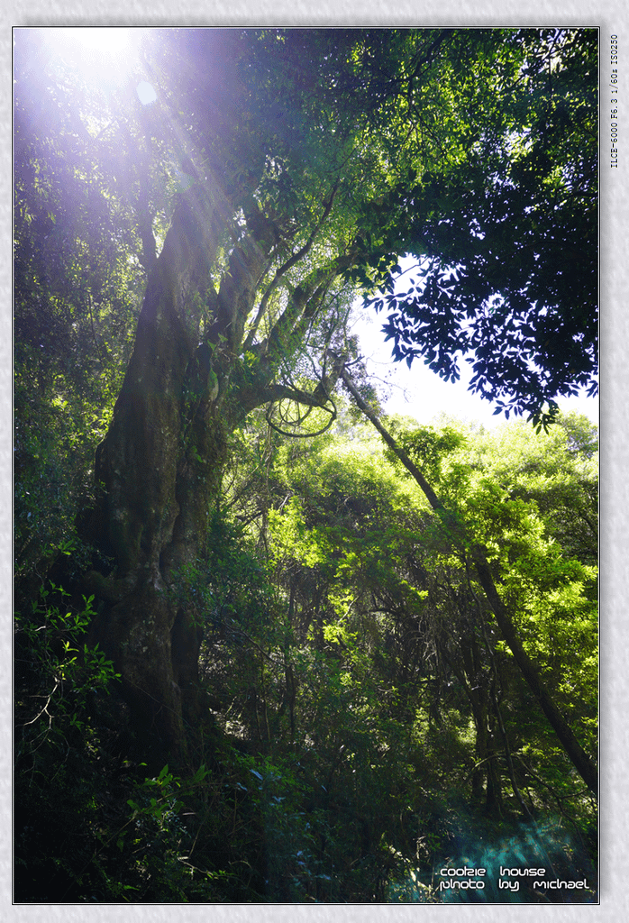 DSC01161.png