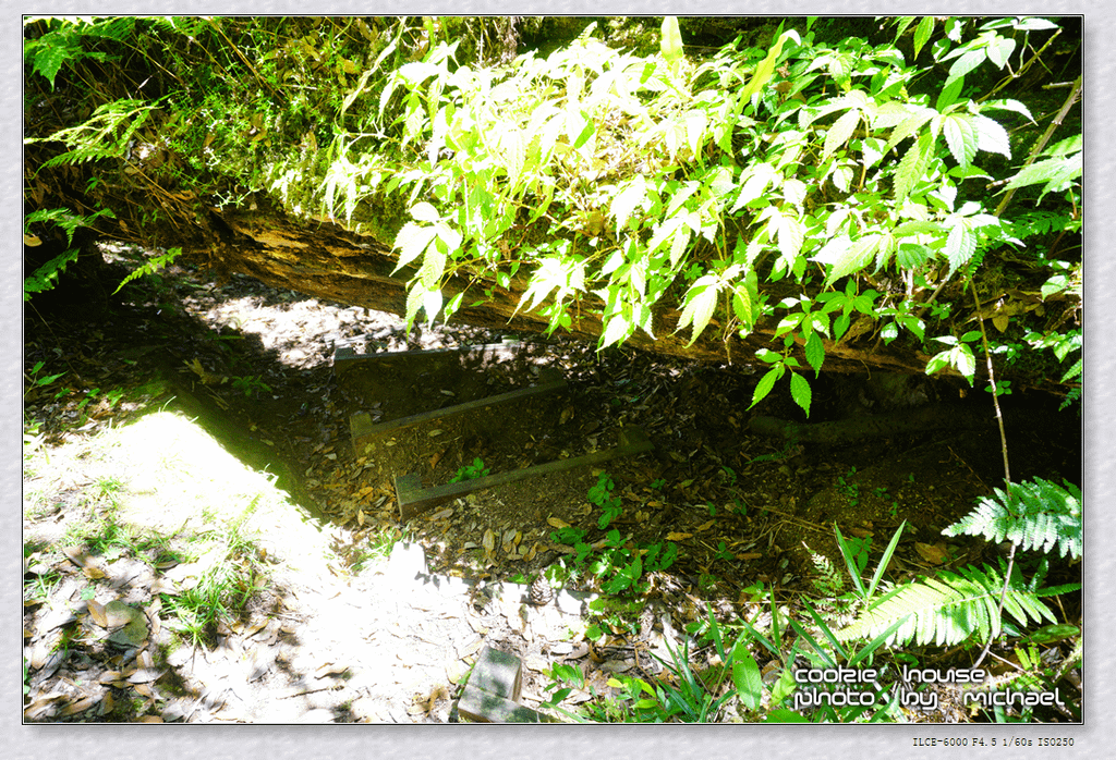 DSC01168.png