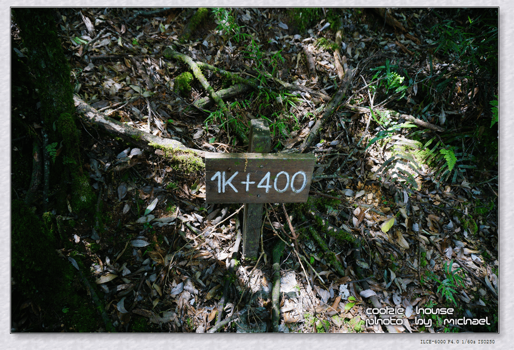 DSC01169.png