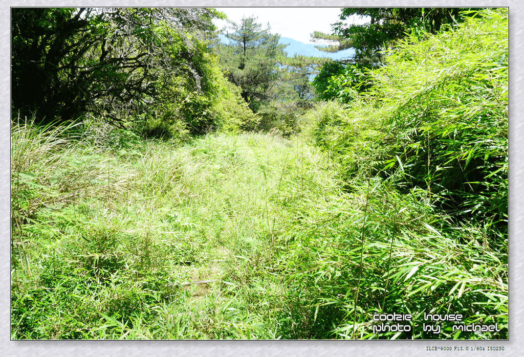 DSC01172.png
