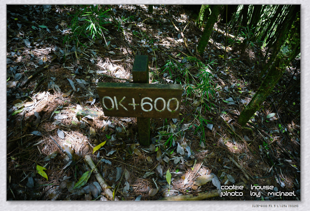 DSC01193.png