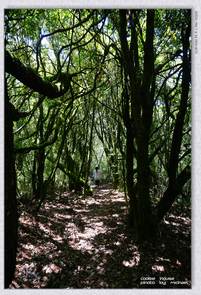 DSC01196.png