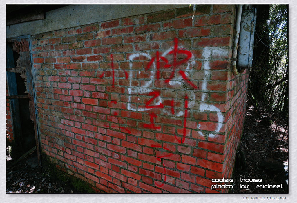 DSC01197.png