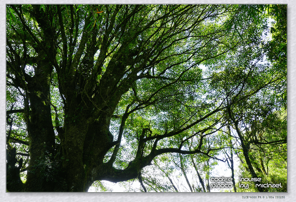 DSC01199.png