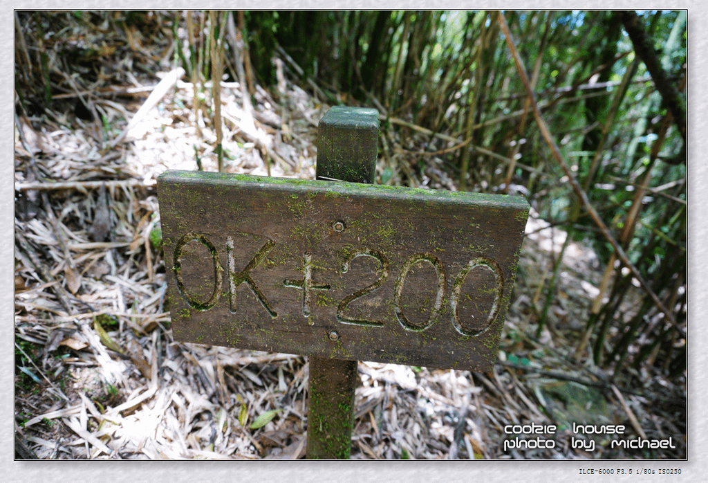 DSC01203.png